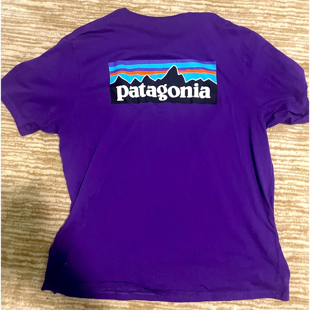 Patagonia T-shirt